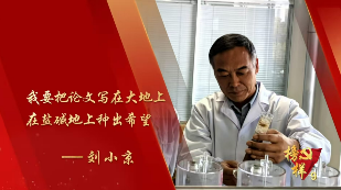 图片 18